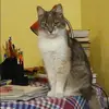 Отзыв от Татьяна Иванова